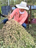 WhatsApp Image 2025-12-03 at 15-26-51 (1).jpeg